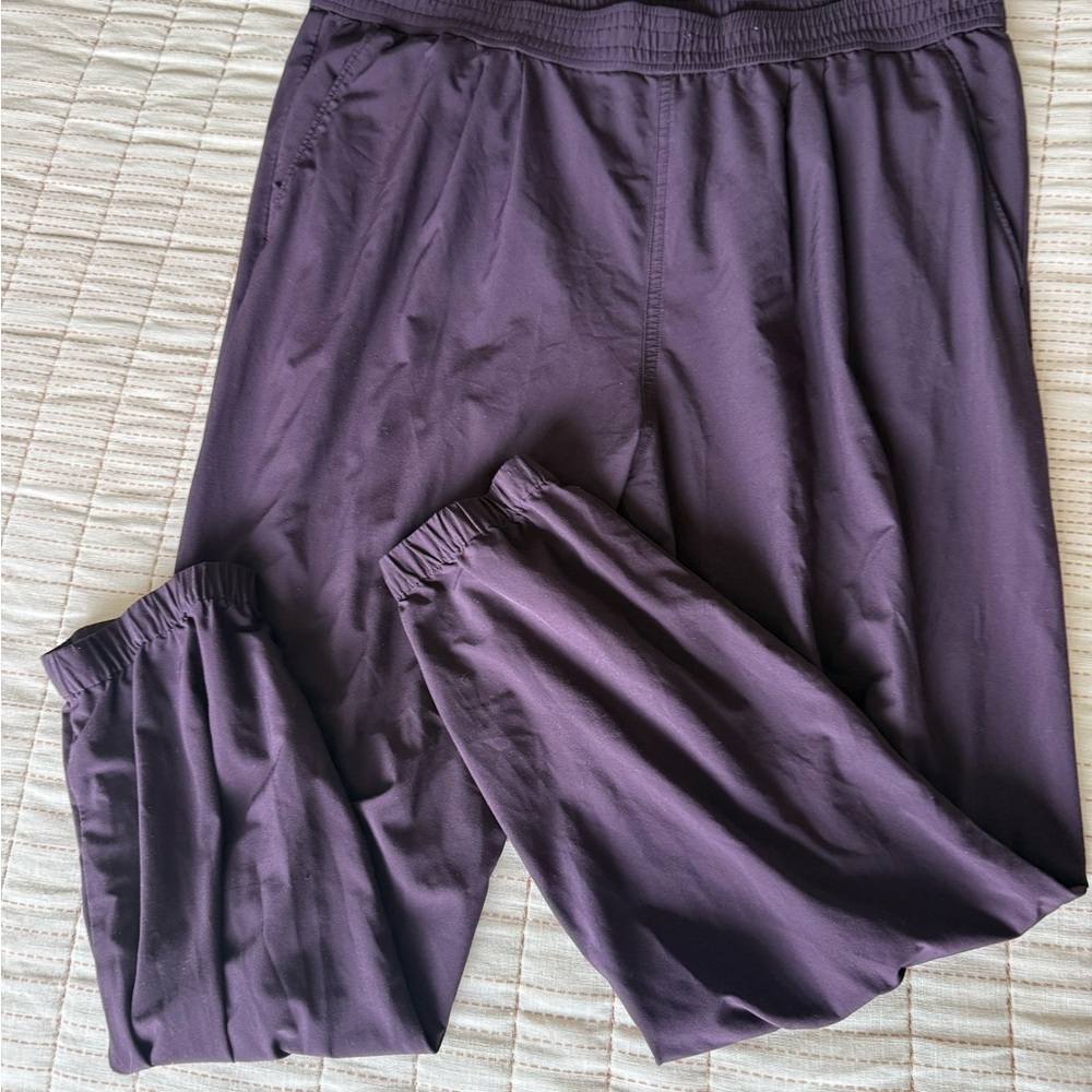 Aritzia Satin Joggers